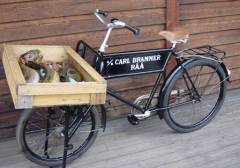 cykel