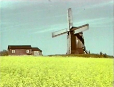 Molla