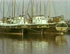 skutor