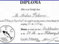 diplom